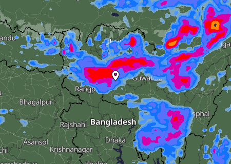 Niederschlagsprognose