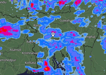 Niederschlagsprognose