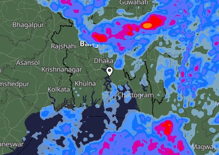 Niederschlagsprognose
