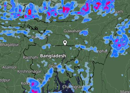 Niederschlagsprognose