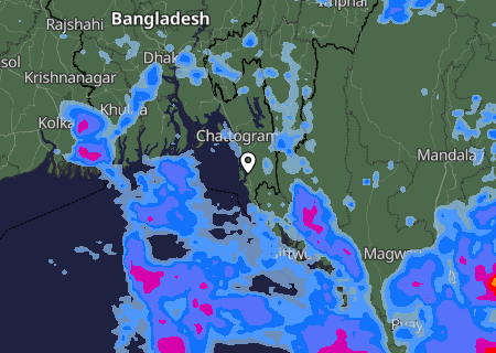 Niederschlagsprognose