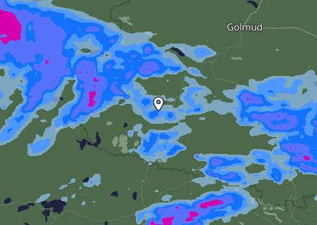Niederschlagsprognose