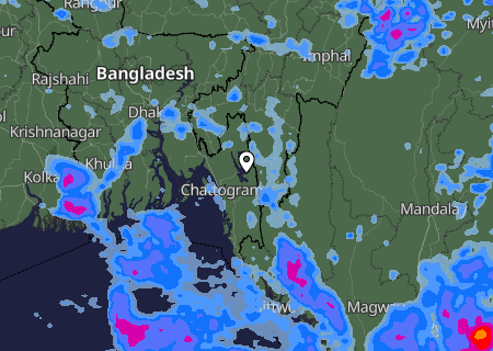 Niederschlagsprognose