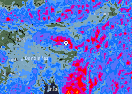 Niederschlagsprognose