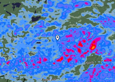 Niederschlagsprognose