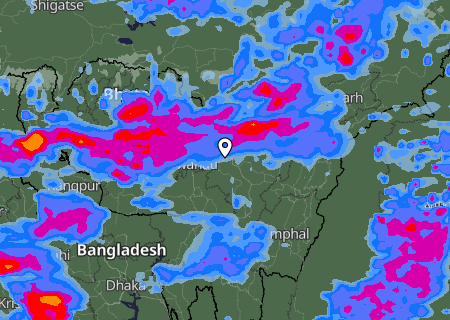 Niederschlagsprognose