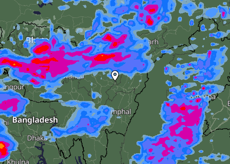 Niederschlagsprognose