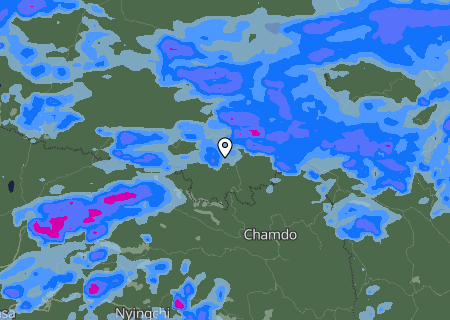 Niederschlagsprognose