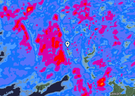Niederschlagsprognose