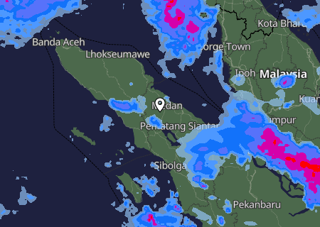 Niederschlagsprognose