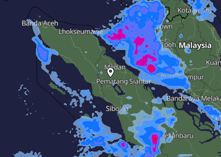 Niederschlagsprognose