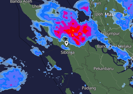 Niederschlagsprognose