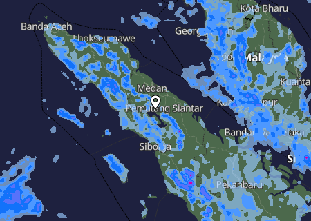Niederschlagsprognose