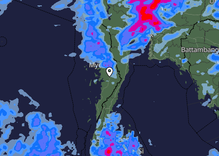 Niederschlagsprognose