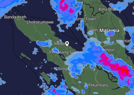 Niederschlagsprognose