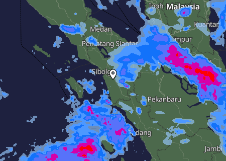 Niederschlagsprognose