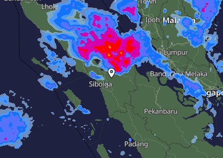 Niederschlagsprognose