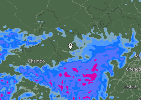 Niederschlagsprognose
