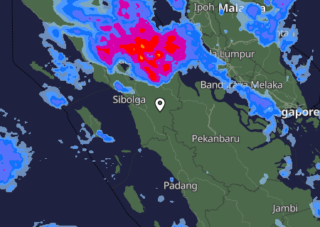 Niederschlagsprognose