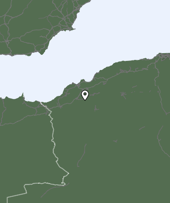 Neerslag