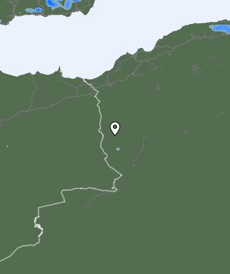 Niederschlagsprognose