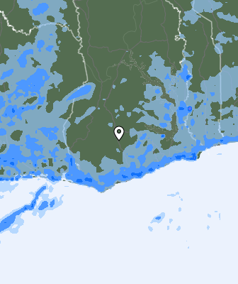 Niederschlagsprognose