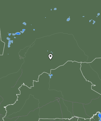 Валежи