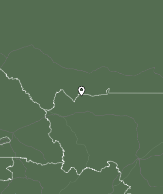 Niederschlagsprognose