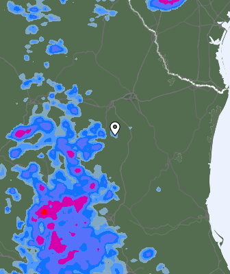 Precipitazioni