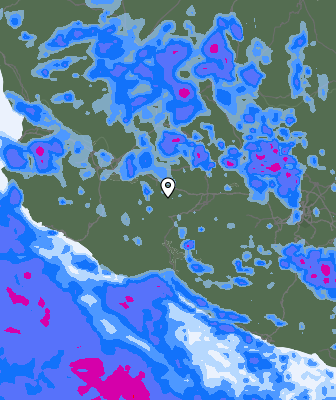 Precipitazioni