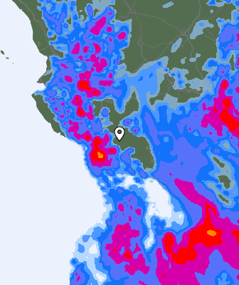 Niederschlagsprognose