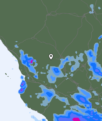 Niederschlagsprognose