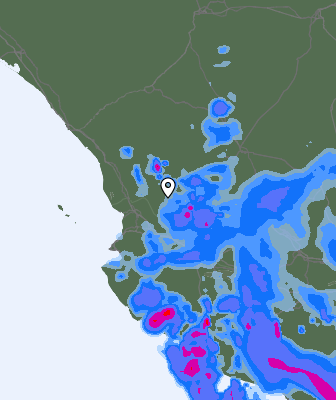 Валежи