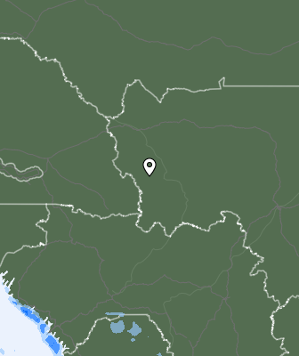 Niederschlagsprognose