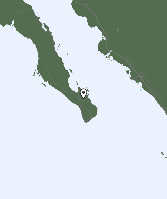 Neerslag