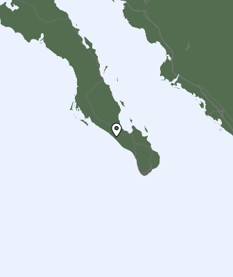 Neerslag