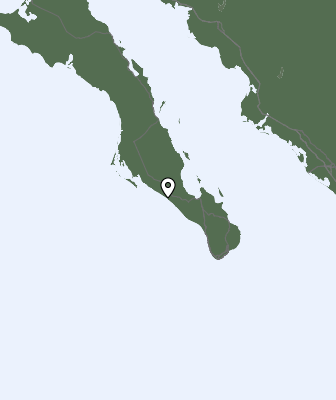 Neerslag