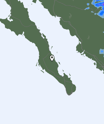 Валежи