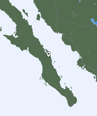 Vihma prognoos