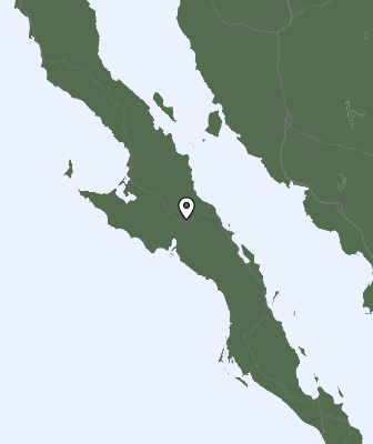 Валежи