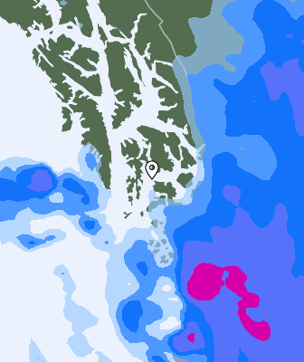 Niederschlagsprognose