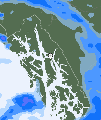 Niederschlagsprognose