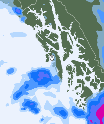 Niederschlagsprognose