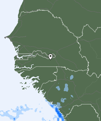 Srážky