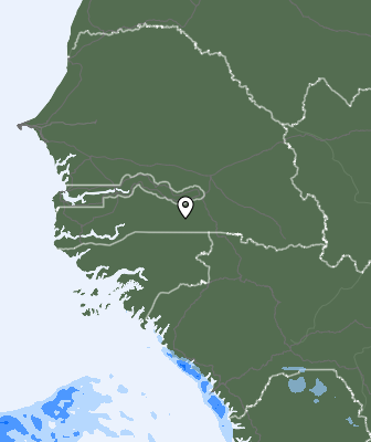 Srážky