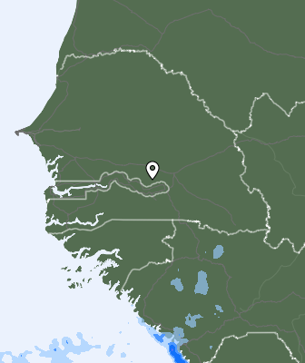 Srážky