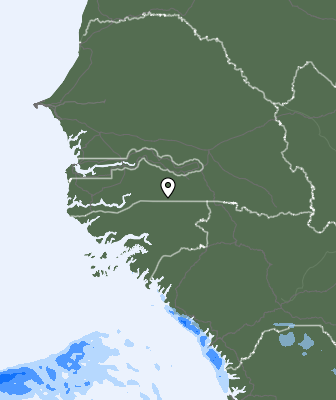 Srážky
