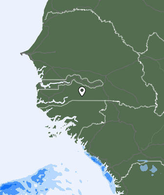 Srážky