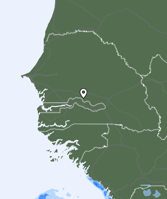 Srážky