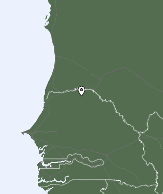 Nedbør